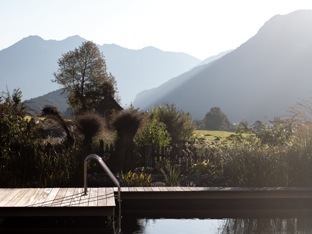 Schwimmteich Schwimmteich