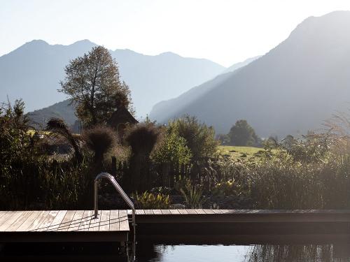 Schwimmteich Schwimmteich