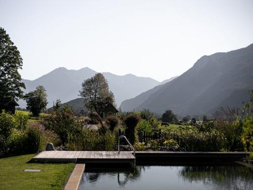 Schwimmteich Schwimmteich