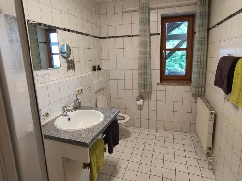 IMG_20250704_112411-1-scaled IMG_20250704_112411-1-scaled