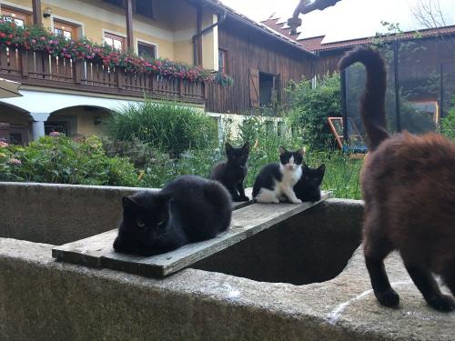 IMG_3884-scaled IMG_3884-scaled