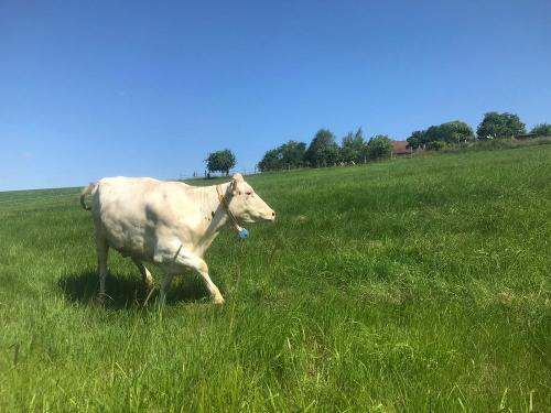 hPcVM7oyTn7RmJ0Io4E4A-scaled hPcVM7oyTn7RmJ0Io4E4A-scaled