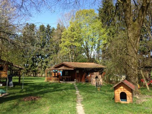 IMG_4914-scaled IMG_4914-scaled