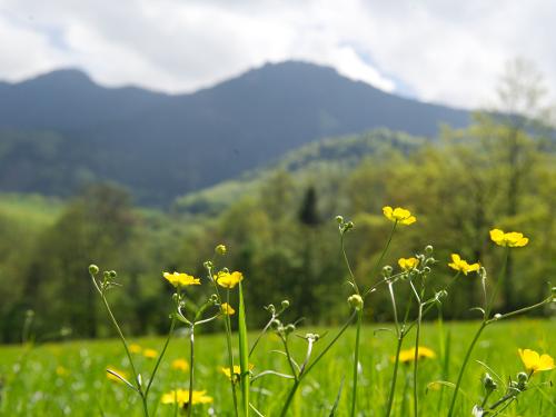 an-laglerhof-052013-70