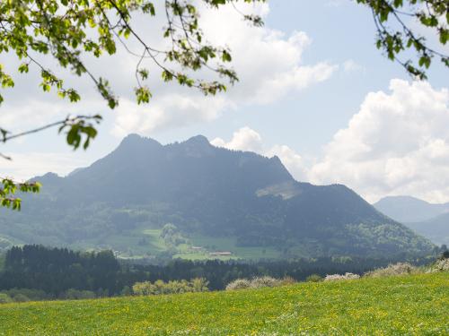 an-laglerhof-052013-85