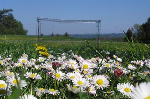 wiesenspiel