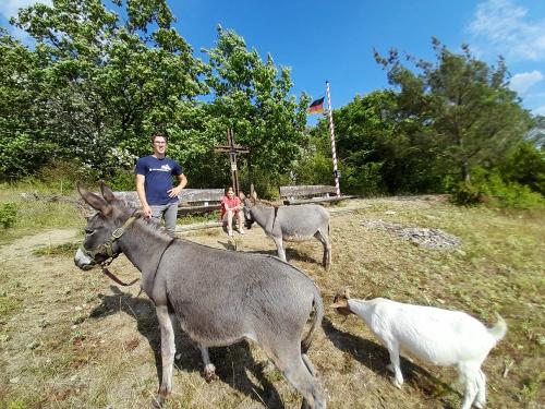 Kostenlose Trekkingtour mit Zwergeseln und Ziege