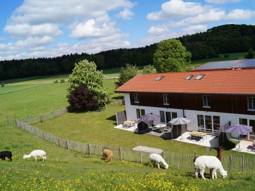 Ferienwohnungen-Südseite