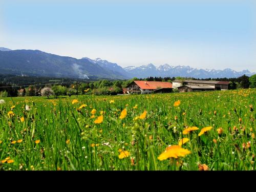 huettenblick_2015_01