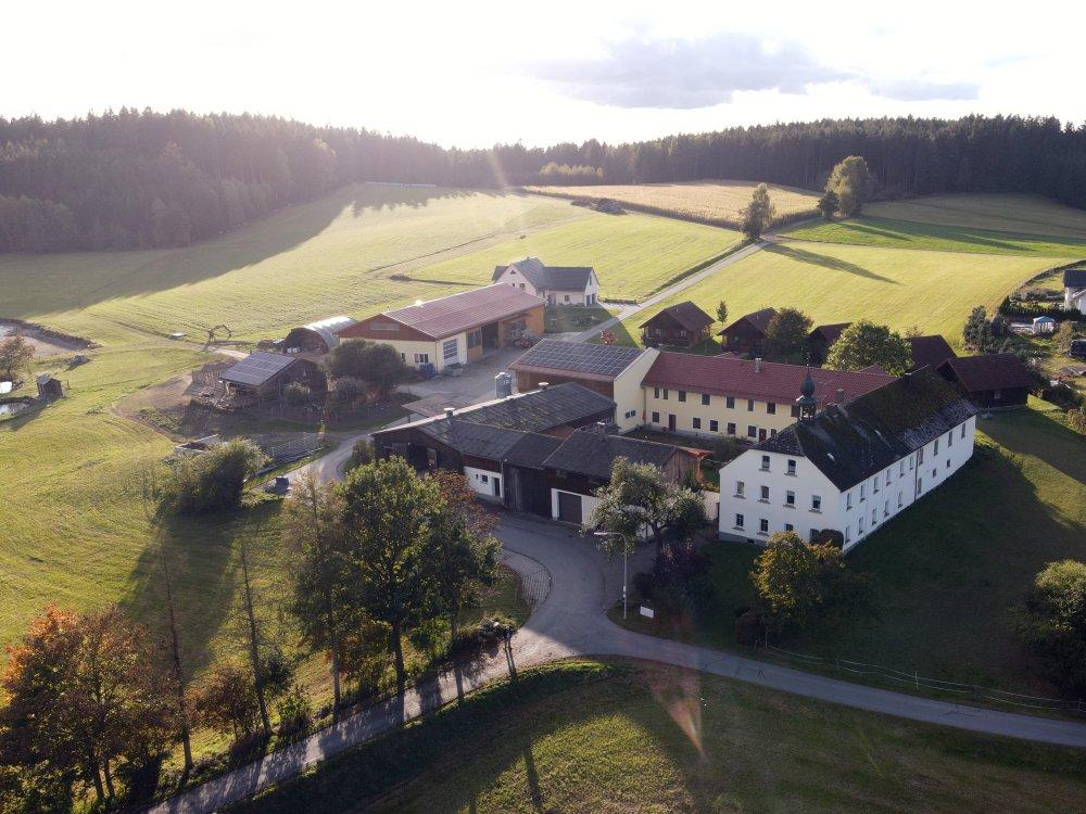 Wir liegen mitten in der Natur