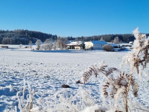 Gowerlhof im Winter