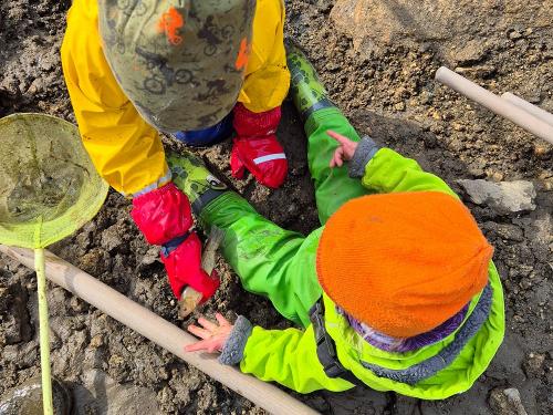 Erstes Kennenlernen der Fische