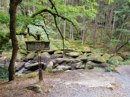 Ausflugtipp - Butterfass im Waldnaabtal