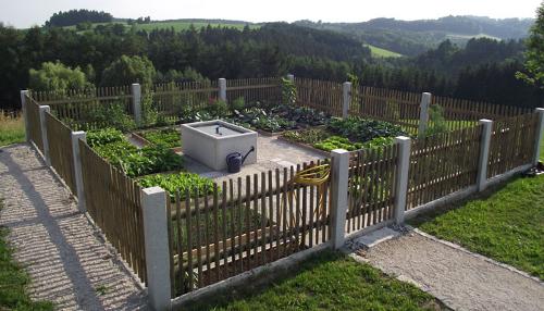 unser Gemüsegarten