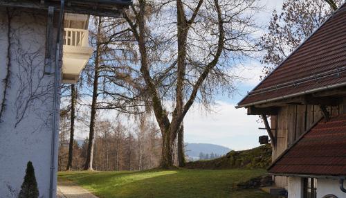 Blick richtung Pferdekoppel