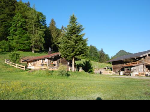 staffeggalm