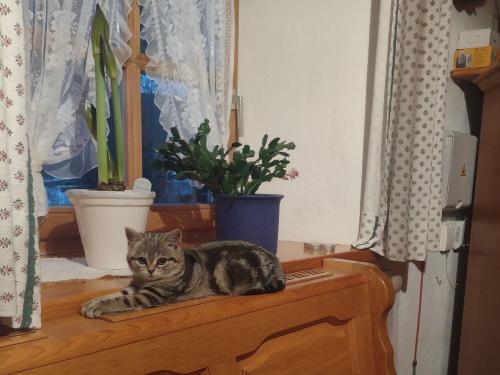 Unsere Lotti