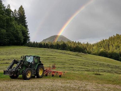 nach einem Regenschauer