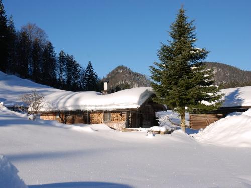 Staffegg - Alm im Winter