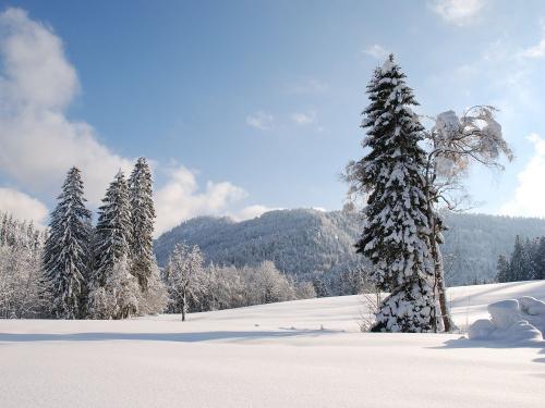 Winterlandschaft
