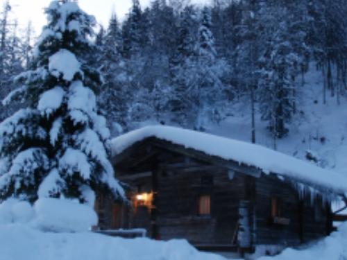 Staffegg - Alm Staffegg - Alm