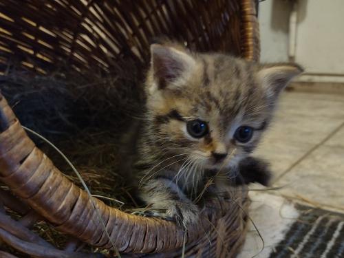 Lotti ganz klein Lotti ganz klein