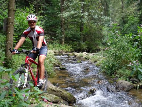 Radfahren am Bärnlochweg by Landhaus Altweck