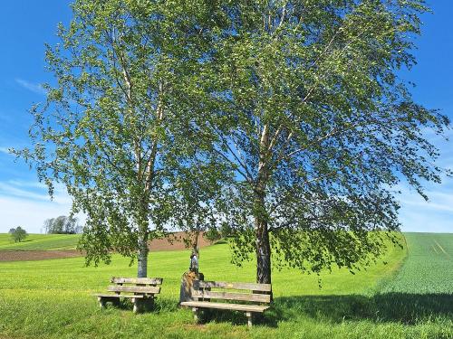 Wanderweg in Kasberg by Landhaus Altweck