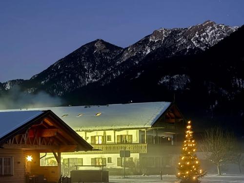 Hof mit Weihnachtsbaum