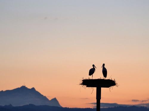 Abendstimmung Lissi und Ludwig