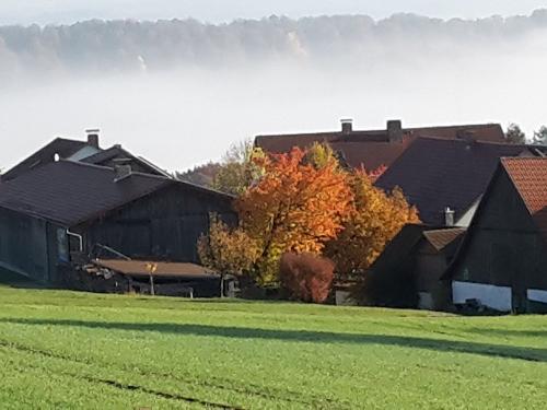 Listenberg im Herbst