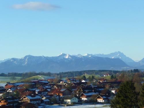 Blick von Kastanie