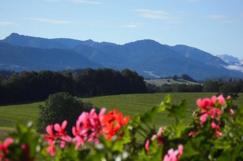 Blick von Ahorn
