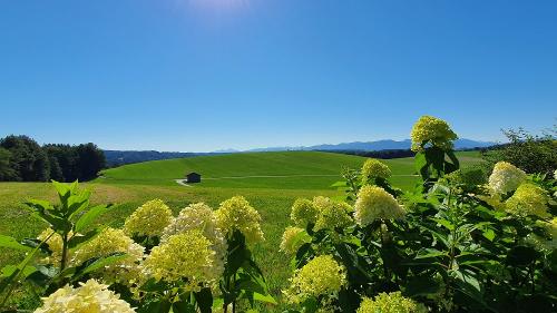 ausblick
