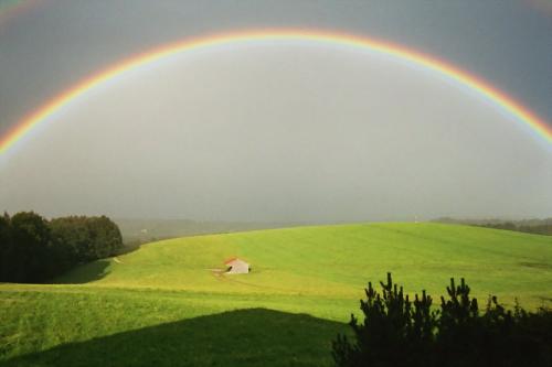 regenbogen