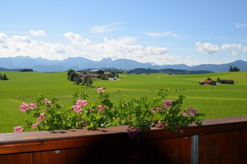 Unser Traumblick