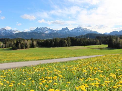 oberdillbeihopferau-bauernhofhefele