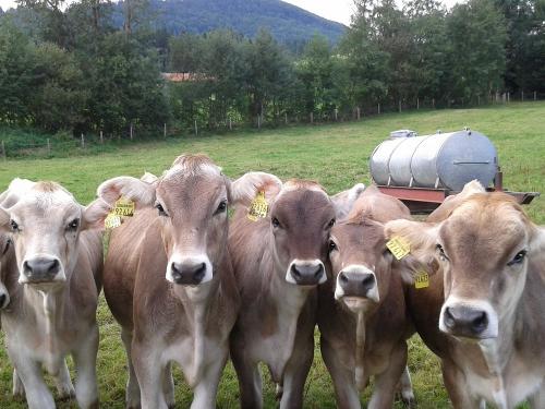 neugierigeklbchen