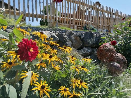 Ferienhof Hefele Blumenpracht Ferienhof Hefele Blumenpracht