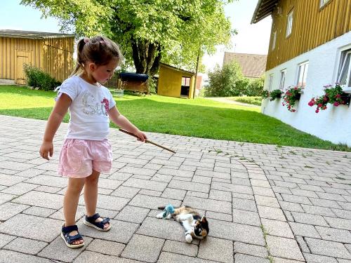 Kind spielt mit Kätzchen