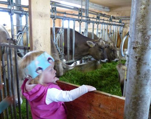 Im Stall gibts viel zu entdecken