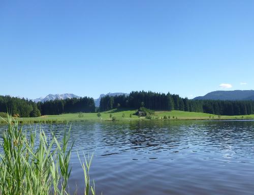 Attlesee