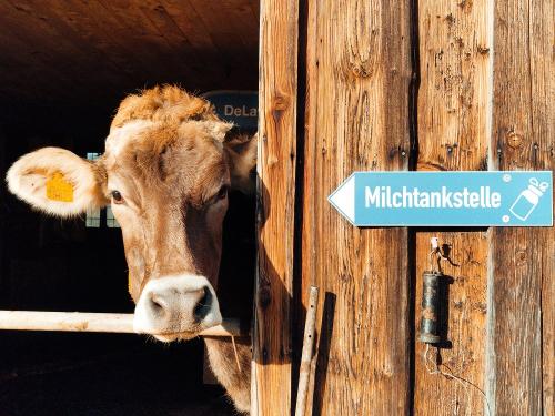 Milchtankstelle direkt am Hof