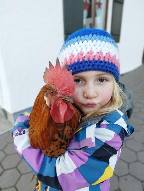 Tierliebe