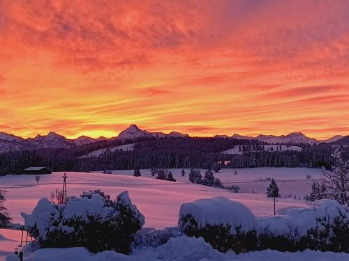 Wintermorgen