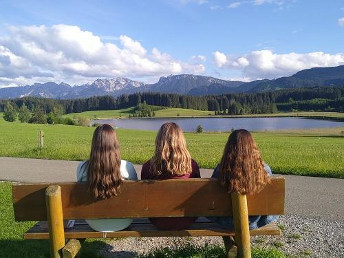 Traumausblick