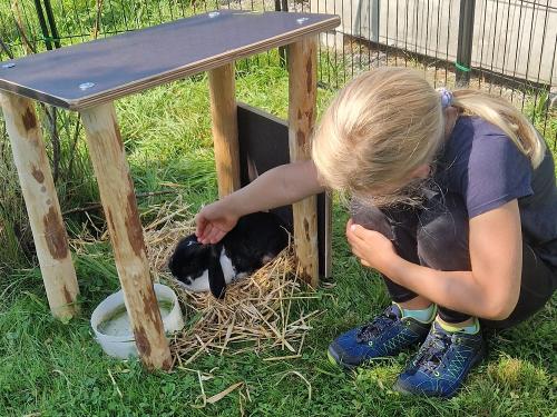 Kuscheln mit den Hasen Kuscheln mit den Hasen