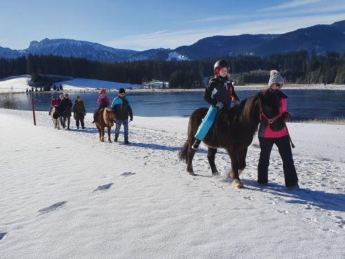 Winter Ausritt Winter Ausritt