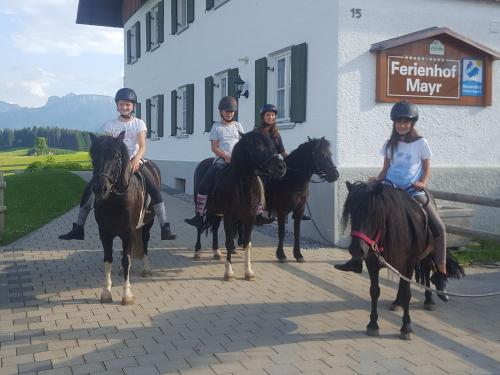 Ein Toller Ausritt Ein Toller Ausritt