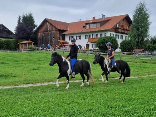 Ausritt der 2 Großen Ausritt der 2 Großen